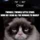 Illustration for article titled The Grumpy Cat Weather App Wont Sugar Coat Things For You